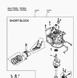 MTD-Engines 1 P 61 BH spare parts