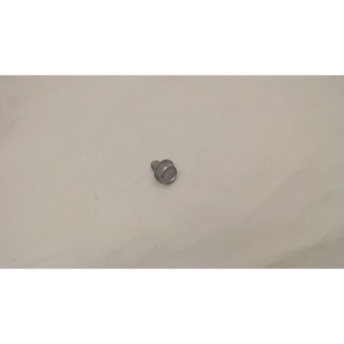 Massey Ferguson 710-0653 Screw:tt:1/4-20:0.375:hxindwsh