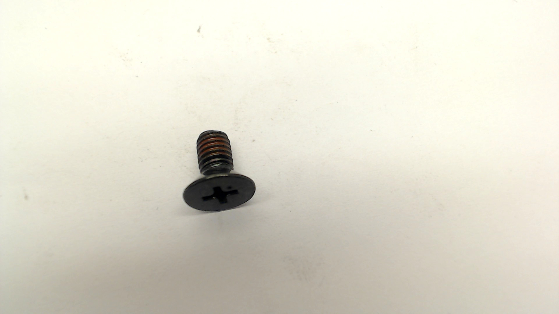 Hitachi 309-175 Nylock Flat Hd. Screw M5x10