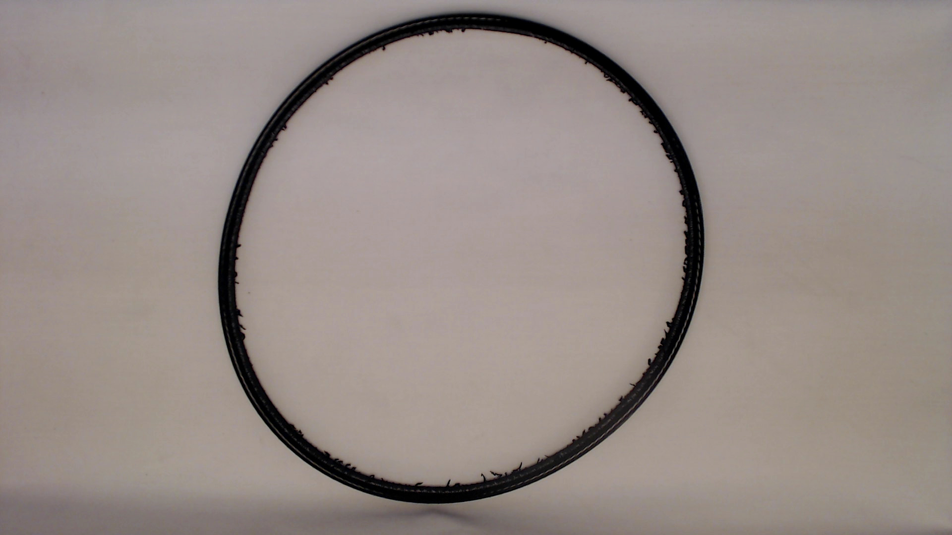 Bosch F016A57941 V-belt