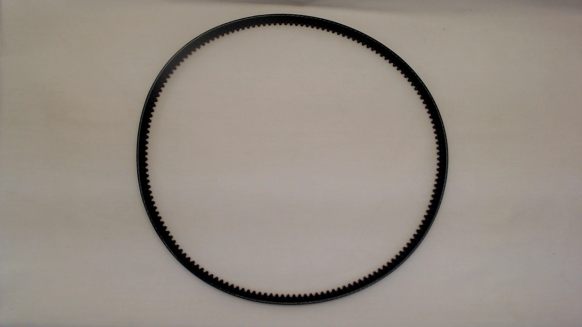 Bosch F016A58728 Belt