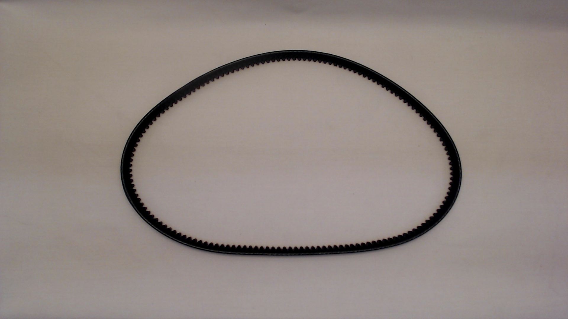 Qualcast F016A58729 DRIVE BELT