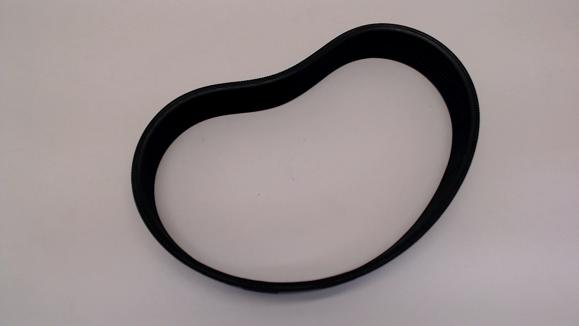 Bosch F016L65351 Drive Belt